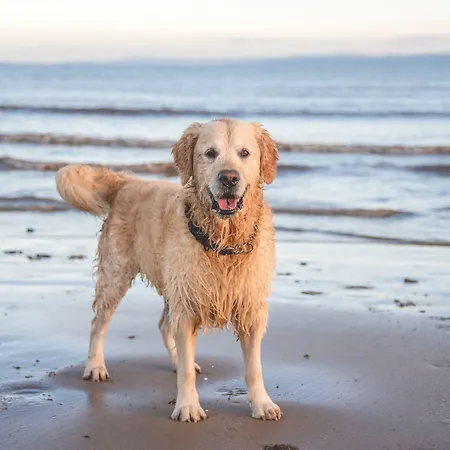 아파트호텔 Myhome Ruegen - Haus Johanneshorst Sellin (Rugen)