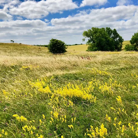 Myhome Ruegen - Haus Johanneshorst 아파트호텔