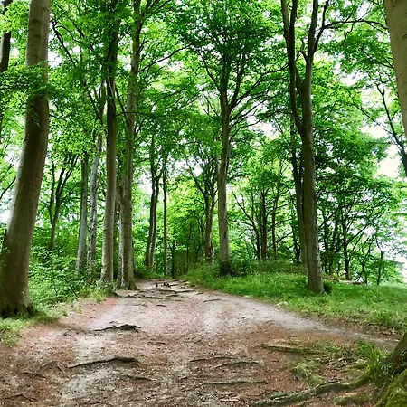 Myhome Ruegen - Haus Johanneshorst 4* Sellin (Rugen)